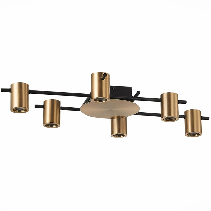 Потолочный светильник Aigle Ceiling Light 6 Черный Латунь Потолочный светильник Aigle Ceiling Light 6 Черный Латунь в Костроме | Loft Concept