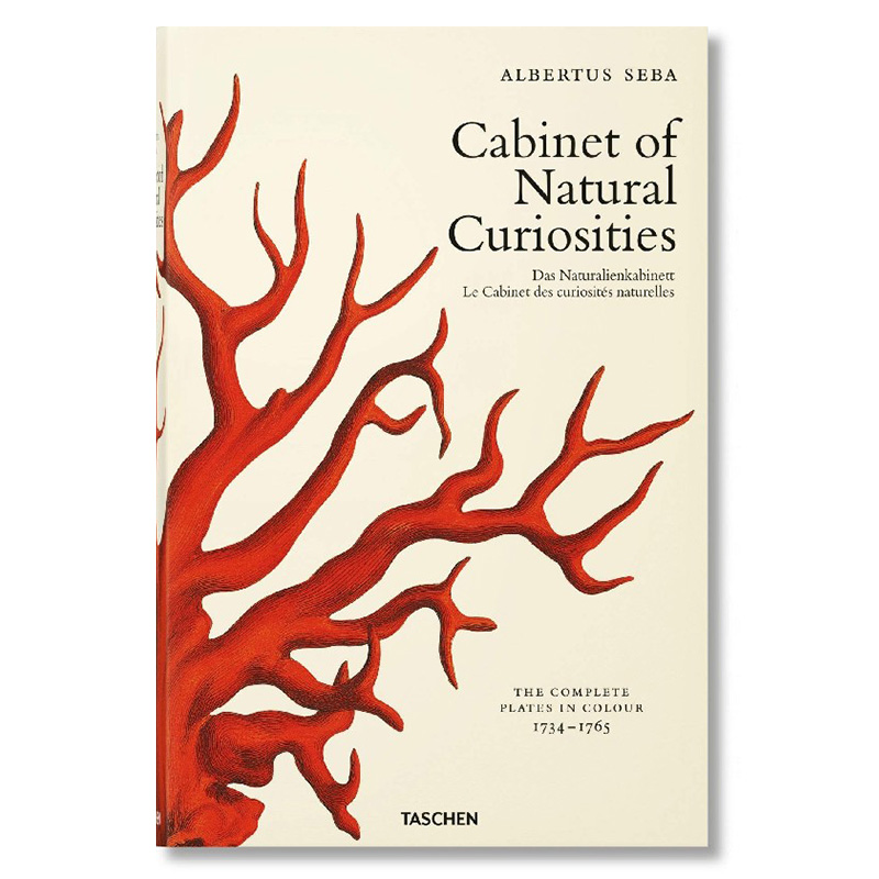 Seba. Cabinet of Natural Curiosities Seba. Cabinet of Natural Curiosities в Костроме | Loft Concept