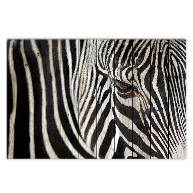 Постер Zebra Постер Zebra в Костроме | Loft Concept