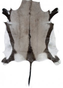 Натуральная шкура антилопы Gemsbok Черный Натуральная шкура антилопы Gemsbok Черный в Костроме | Loft Concept