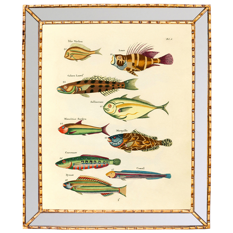 Постер в зеркальной раме Fish Guide 2 Мульти Золотой Постер в зеркальной раме Fish Guide 2 Мульти Золотой в Костроме | Loft Concept