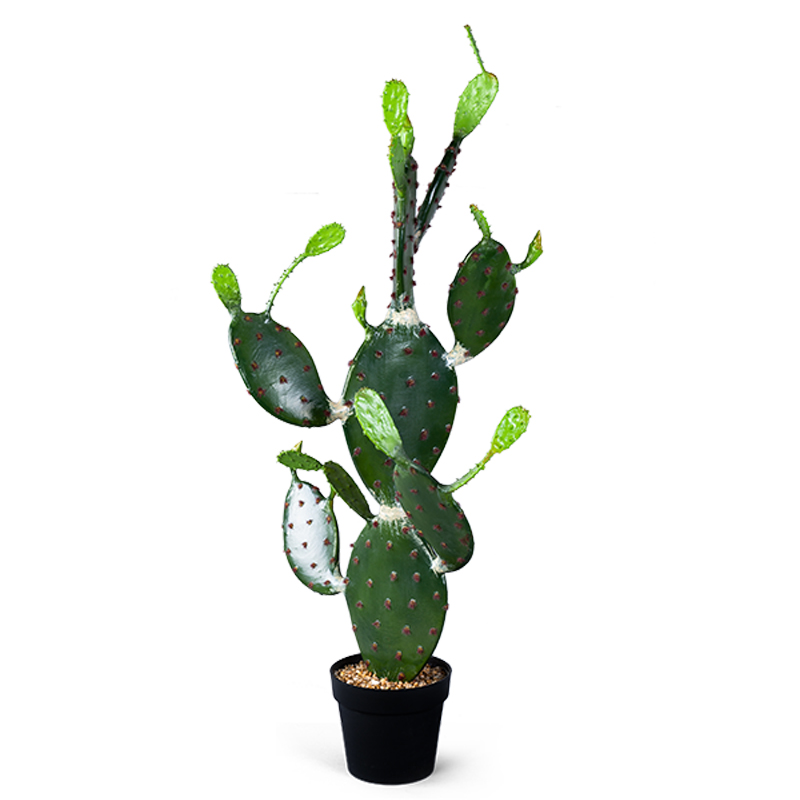 Декоративный искусственный цветок Opuntia Cactus Зеленый Декоративный искусственный цветок Opuntia Cactus Зеленый в Костроме | Loft Concept