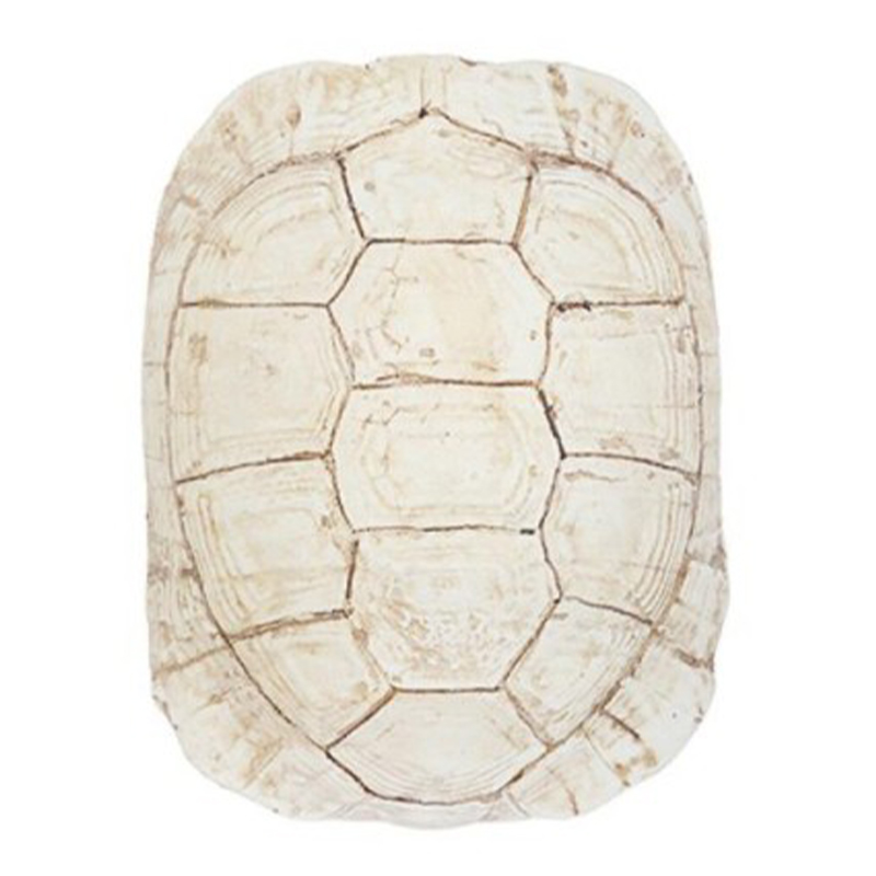 Аксессуар Turtle Shell White Бежевый Аксессуар Turtle Shell White Бежевый в Костроме | Loft Concept