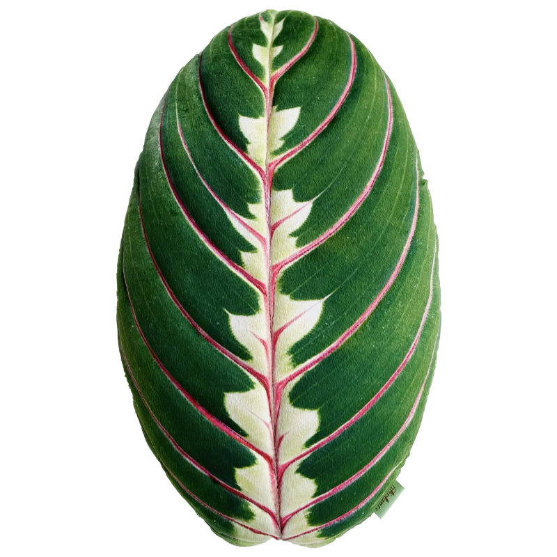 Декоративная подушка Botanical Cushion Maranta Trikolor Зеленый Бургундский красный Декоративная подушка Botanical Cushion Maranta Trikolor Зеленый Бургундский красный в Костроме | Loft Concept