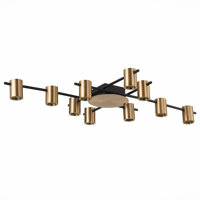 Потолочный светильник Aigle Ceiling Light 10 Черный Латунь Потолочный светильник Aigle Ceiling Light 10 Черный Латунь в Костроме | Loft Concept