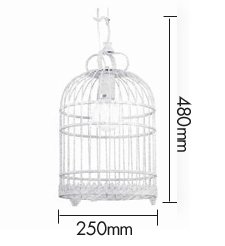 Подвесной светильник Bird Cage Подвесной светильник Bird Cage в Костроме