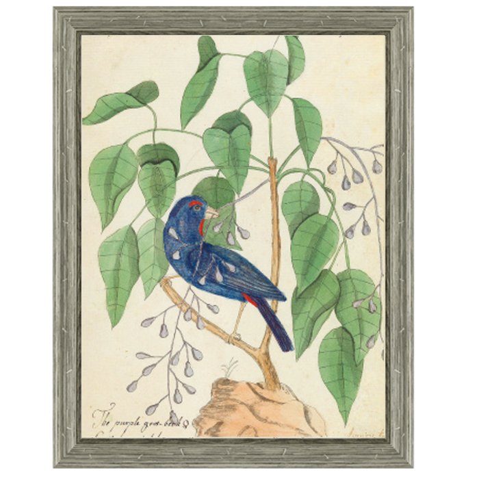 Постер Blue Bird In Foliage Постер Blue Bird In Foliage в Костроме | Loft Concept