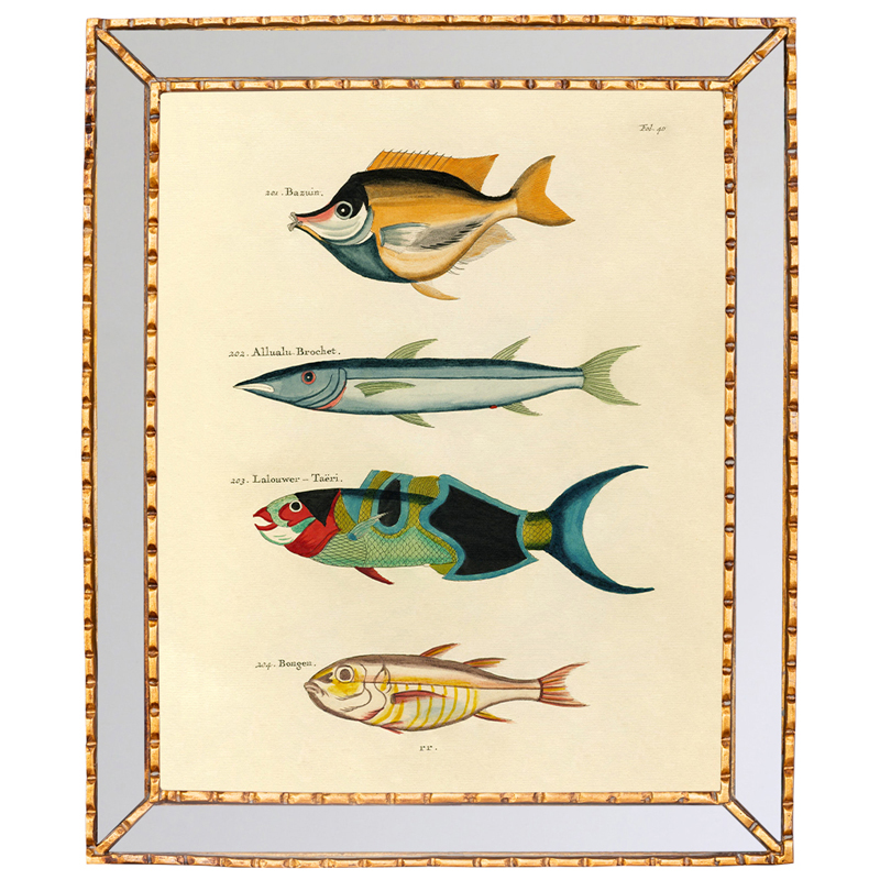 Постер в зеркальной раме Fish Guide 3 Мульти Золотой Постер в зеркальной раме Fish Guide 3 Мульти Золотой в Костроме | Loft Concept