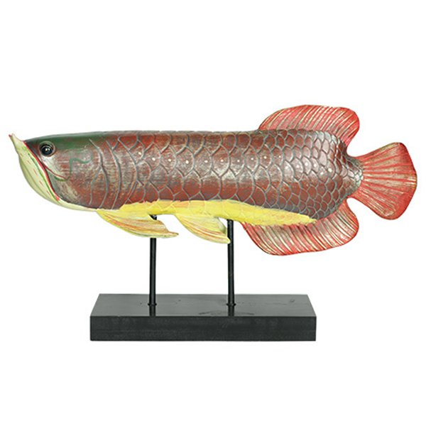 Аксессуар для интерьера рыба Colored Fish Аксессуар для интерьера рыба Colored Fish в Костроме | Loft Concept