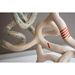 Скульптура «Papañca» варинант исполнения - 3 | Loft Concept в Костроме