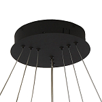 Люстра светодиодная с 3-мя плафонами в форме колец из акрила и алюминия с пультом для регулировки света Ring Horizontal Anthracite варинант исполнения - 5 | Loft Concept в Костроме