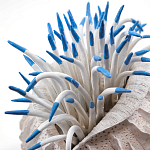 Статуэтка тропический фрукт Tropical Fruit White Blue варинант исполнения - 1 | Loft Concept в Костроме