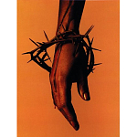 Подарочная книга величайший фотограф Альберт Уотсон The Vienna album Albert Watson варинант исполнения - 4 | Loft Concept в Костроме