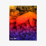 Редкое подарочное издание Yayoi Kusama: 1945 to Now варинант исполнения - 3 | Loft Concept в Костроме