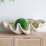 Блюдо декоративное в виде ракушки Seashell варинант исполнения - 3 | Loft Concept в Костроме