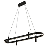 Люстра подвесная овальная черная  Black Light Fixtures варинант исполнения - 1 | Loft Concept в Костроме