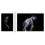 Монография художника Tavares Strachan - There is Light Somewhere варинант исполнения - 6 | Loft Concept в Костроме