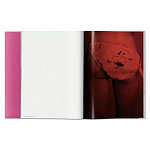 Книга Gisele Bundchen варинант исполнения - 7 | Loft Concept в Костроме