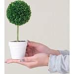 Декоративный искусственное растение Boxwood One варинант исполнения - 6 | Loft Concept в Костроме