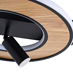 Потолочный светильник круглый GAVIN WOOD варинант исполнения - 2 | Loft Concept в Костроме