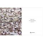 Книга Maison Lesage: Haute Couture Embroidery Mauries Patrick варинант исполнения - 11 | Loft Concept в Костроме