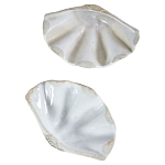 Фигурка из фарфора в виде одной створки ракушки Marine Tridacna варинант исполнения - 3 | Loft Concept в Костроме