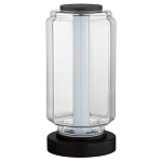 Настольная лампа с прозрачным плафоном Jarrty варинант исполнения - 1 | Loft Concept в Костроме