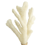 Статуэтка Stand Coral варинант исполнения - 2 | Loft Concept в Костроме