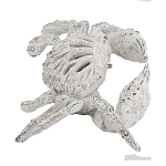 Статуэтка краб с детализированной текстурой в белом цвете Marine Accessories варинант исполнения - 4 | Loft Concept в Костроме