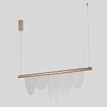 Люстра подвесная с пятью прозрачными элементами в форме лепестков и золотистым металлическим основанием DALI Tonin Casa варинант исполнения - 2 | Loft Concept в Костроме