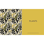 Книга The V&A Sourcebook of Pattern and Ornament варинант исполнения - 4 | Loft Concept в Костроме