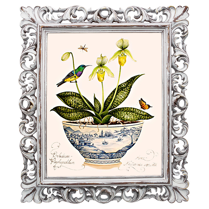 Постер Hummingbird On Flower Poster Мульти Белый винтажная патина Постер Hummingbird On Flower Poster Мульти Белый винтажная патина в Костроме | Loft Concept