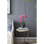 Декоративный искусственное растение Pink orchid варинант исполнения - 8 | Loft Concept в Костроме