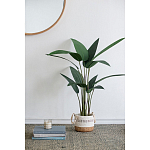 Декоративный искусственное растение Decor Stile  варинант исполнения - 7 | Loft Concept в Костроме