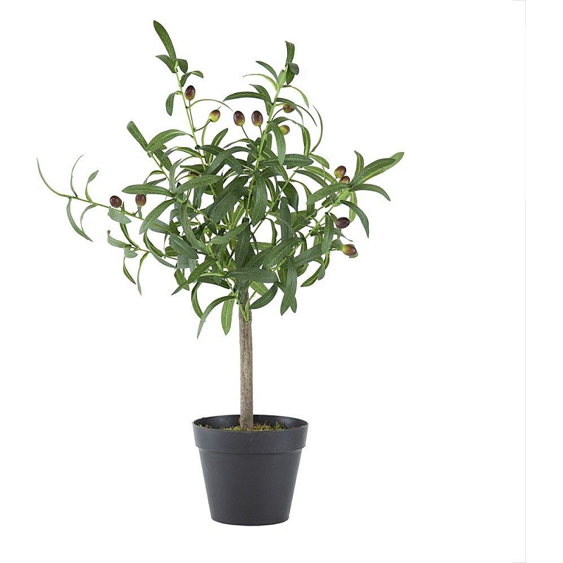Декоративный искусственное растение Olive tree with fruits Зеленый Черный Коричневый в Костроме | Loft Concept 