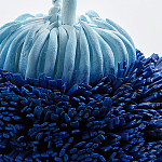 Статуэтка Синий тропический фрукт Tropical Fruit Pandora 1 варинант исполнения - 4 | Loft Concept в Костроме