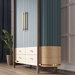 Шкаф «Гавайи» варинант исполнения - 2 | Loft Concept в Костроме