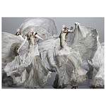 Alexander McQueen: Savage Beauty варинант исполнения - 2 | Loft Concept в Костроме