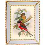 Постер с изображением птиц и цветов в зеркальной раме Blooming Birds Poster варинант исполнения - 7 | Loft Concept в Костроме