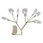 Бра в виде ветвей с прозрачными круглыми плафонами Moooi варинант исполнения - 1 | Loft Concept в Костроме