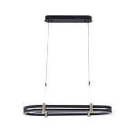 Люстра светодиодная в форме овала из акрила и алюминия с пультом для регулировки света Ring Horizontal Anthracite варинант исполнения - 1 | Loft Concept в Костроме