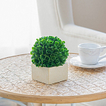 Декоративный искусственное растение Square boxwood варинант исполнения - 6 | Loft Concept в Костроме