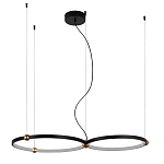 Люстра подвесная светодиодная черный металл Ring Horizontal варинант исполнения - 9 | Loft Concept в Костроме