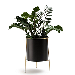 Кашпо из металла и латуни Elegance Elevated Planters черное варинант исполнения - 3 | Loft Concept в Костроме