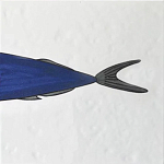 Плитка с узором Рыба пловчиха варинант исполнения - 6 | Loft Concept в Костроме