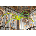 Дизайнерский торшер в виде пальмы Poltronova Sanremo Floor Lamp варинант исполнения - 9 | Loft Concept в Костроме