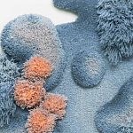 Тканый вручную Большой абстрактный гобелен Frost Forest варинант исполнения - 1 | Loft Concept в Костроме