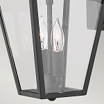 Настенный фонарь черного цвета с прозрачным стеклянным плафоном трапециевидной формы Hinkley варинант исполнения - 10 | Loft Concept в Костроме