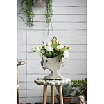 Кашпо Curly baby варинант исполнения - 10 | Loft Concept в Костроме