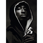 Подарочная книга величайший фотограф Альберт Уотсон The Vienna album Albert Watson варинант исполнения - 2 | Loft Concept в Костроме